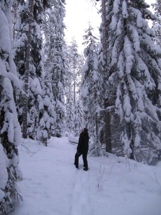 Menninkaeinen Cottage Rutalahti Luaran gambar
